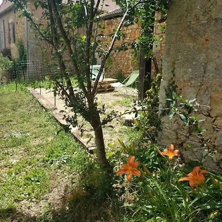 Maison Du Jaune Hébergement de vacances *